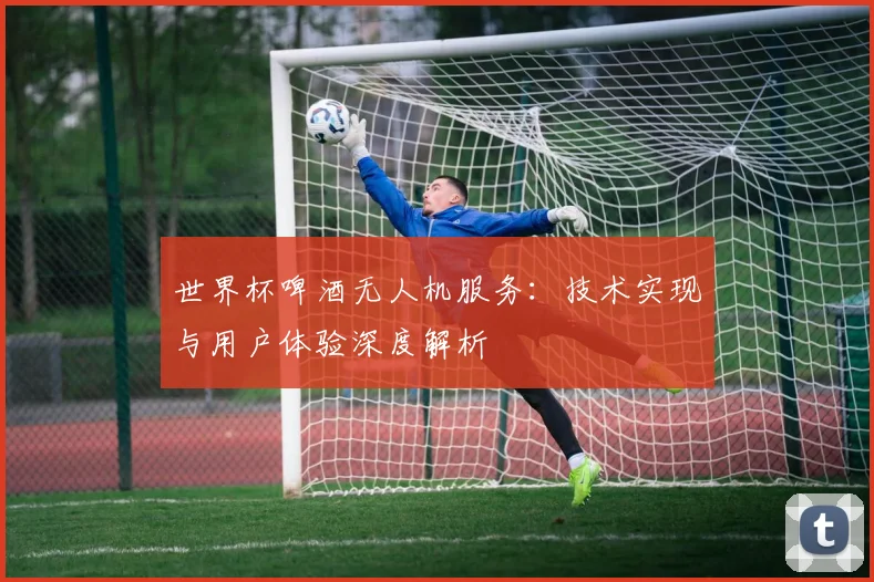 世界杯啤酒无人机服务：技术实现与用户体验深度解析
