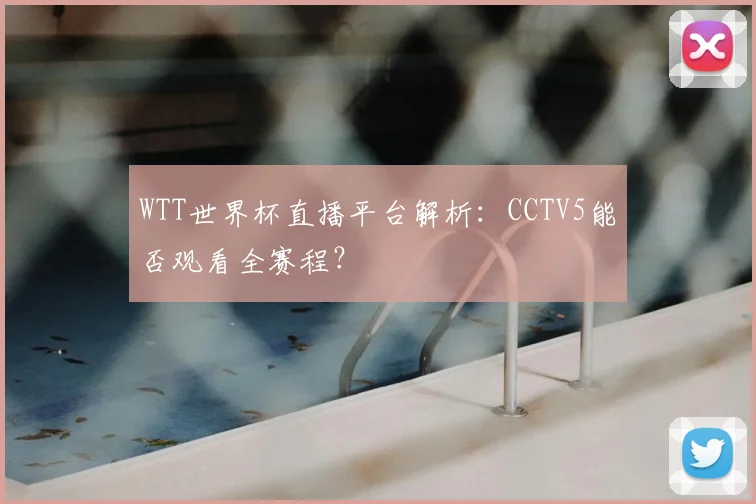 WTT世界杯直播平台解析：CCTV5能否观看全赛程？