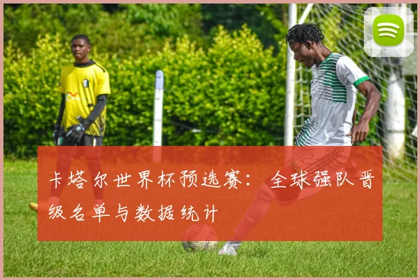 卡塔尔世界杯预选赛：全球强队晋级名单与数据统计