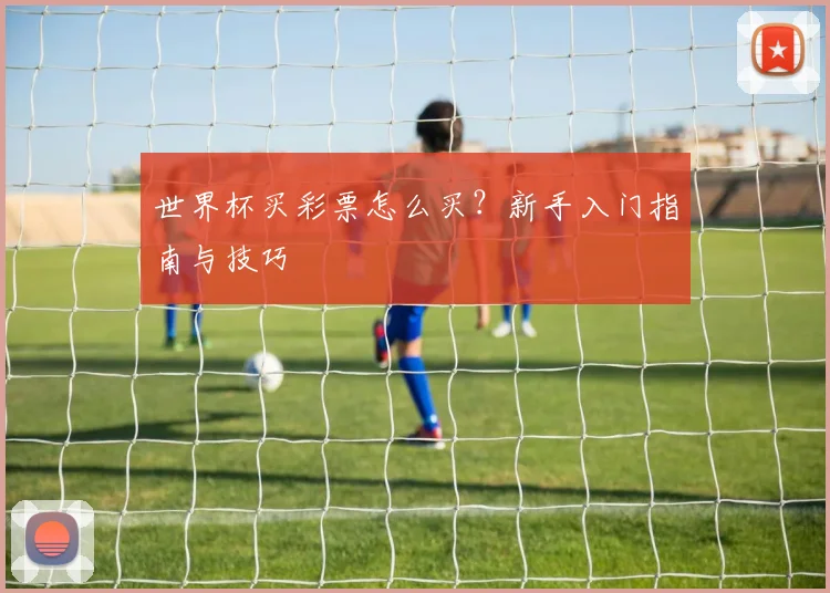 世界杯买彩票怎么买?新手入门指南与技巧