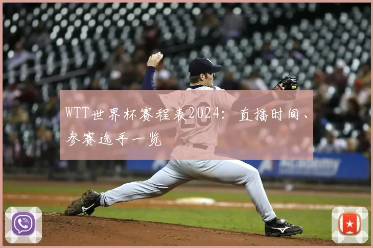 WTT世界杯赛程表2024:直播时间、参赛选手一览