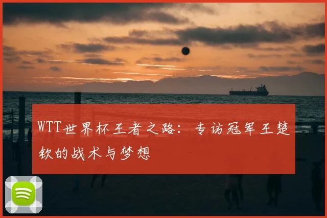 WTT世界杯王者之路:专访冠军王楚钦的战术与梦想