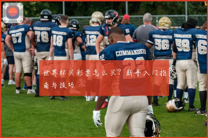 世界杯买彩票怎么买?新手入门指南与技巧
