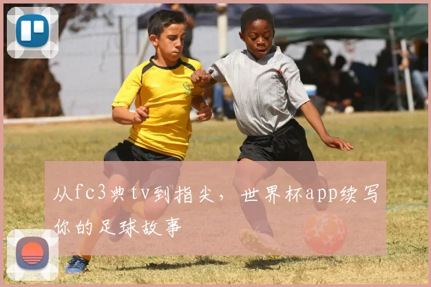 从fc3典tv到指尖,世界杯app续写你的足球故事