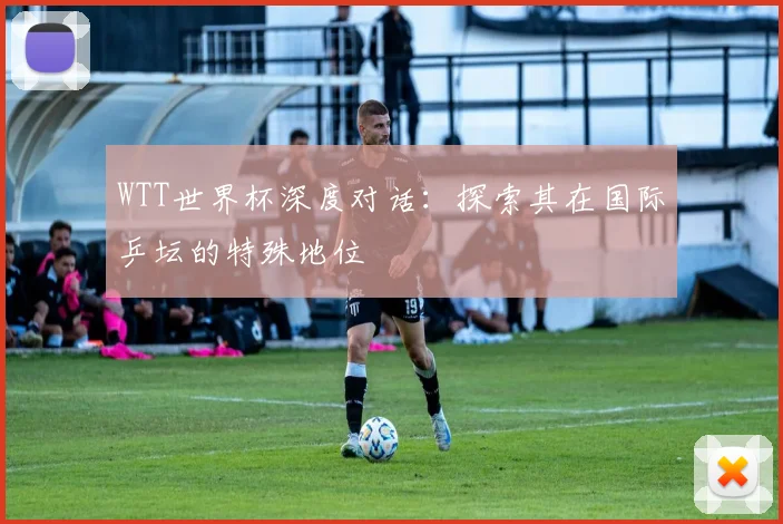 WTT世界杯深度对话：探索其在国际乒坛的特殊地位