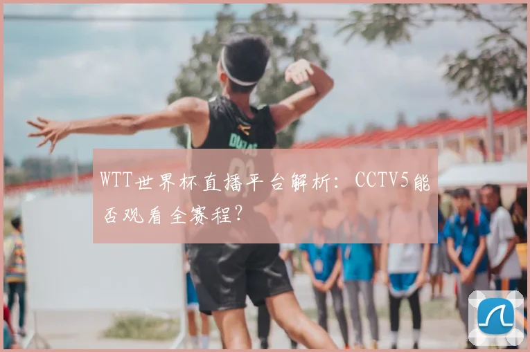 WTT世界杯直播平台解析:CCTV5能否观看全赛程?